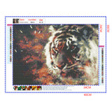 Full Diamond Painting kit - Tiger