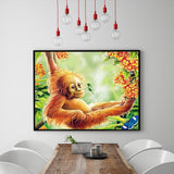 Full Diamond Painting kit - Cute orangutan