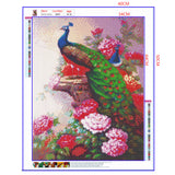 Full Diamond Painting kit - Beautiful peacock (16x20inch)