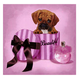 Full Diamond Painting kit - Beautiful dog in a gift