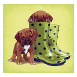 Full Diamond Painting kit - Cute dog in boots