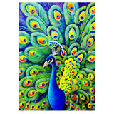 Full Diamond Painting kit - Beautiful peacock