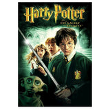 Full Diamond Painting kit - Harry Potter