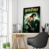 Full Diamond Painting kit - Harry Potter