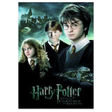 Full Diamond Painting kit - Harry Potter