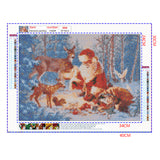 Full Diamond Painting kit - Santa and his animals