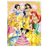 Full Diamond Painting kit - Disney Princess and Mickey Mouse (16x20inch)