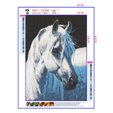 Full Diamond Painting kit - White horse