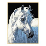 Full Diamond Painting kit - White horse