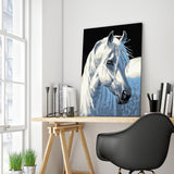 Full Diamond Painting kit - White horse