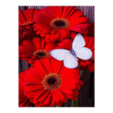 Full Diamond Painting kit - Red Flower and White Butterfly