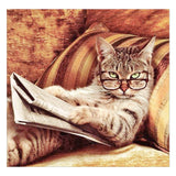 Full Diamond Painting kit - Cat reading a book