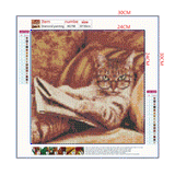 Full Diamond Painting kit - Cat reading a book