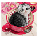 Full Diamond Painting kit - Cute little cat