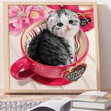 Full Diamond Painting kit - Cute little cat