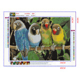 Full Diamond Painting kit - Parrots