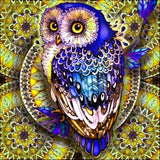 Full Diamond Painting kit - Owl