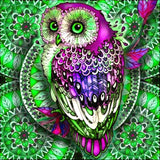 Full Diamond Painting kit - Owl