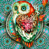 Full Diamond Painting kit - Owl