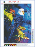 Full Diamond Painting kit - Parrot