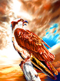 Full Diamond Painting kit - Eagle