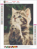 Full Diamond Painting kit - Cute cat
