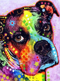 Full Diamond Painting kit - Colorful dog