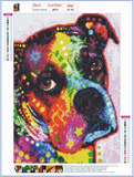 Full Diamond Painting kit - Colorful dog