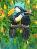 Full Diamond Painting kit - Toco toucan