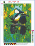 Full Diamond Painting kit - Toco toucan