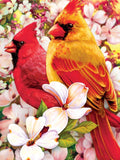 Full Diamond Painting kit - Cardinals