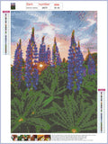 Full Diamond Painting kit - Beautiful lavender