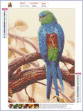 Full Diamond Painting kit - Cute parrot