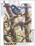 Full Diamond Painting kit - Cute magpies