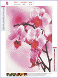 Full Diamond Painting kit - Pink dendrobium flower