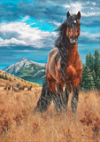 Full Diamond Painting kit - Horse