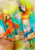 Full Diamond Painting kit - Cute parrots