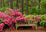 Full Diamond Painting kit - Bench in the park