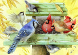 Full Diamond Painting kit - Bird eating melon seeds