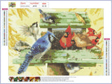 Full Diamond Painting kit - Bird eating melon seeds