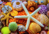 Full Diamond Painting kit - Starfish and shellfish