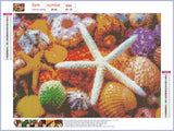 Full Diamond Painting kit - Starfish and shellfish