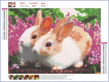 Full Diamond Painting kit - Cute rabbits