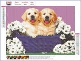 Full Diamond Painting kit - Cute little golden retriever