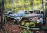 Full Diamond Painting kit - Abandoned cars