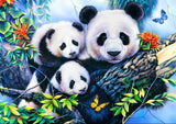 Full Diamond Painting kit - Panda family