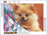 Full Diamond Painting kit - Cute dog