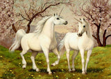 Full Diamond Painting kit - Unicorn Couple