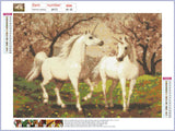 Full Diamond Painting kit - Unicorn Couple