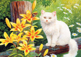 Full Diamond Painting kit - Cute cat